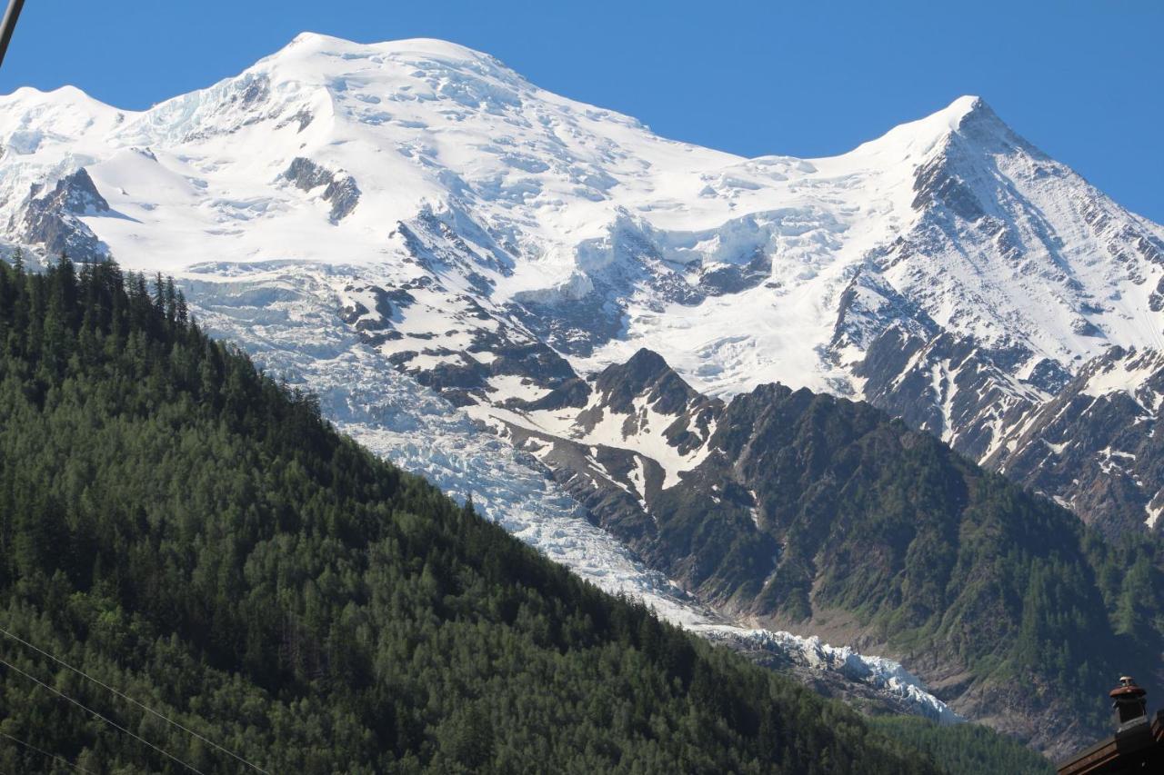Studio Chamonix Mont-Blanc Idealement Situe Eksteriør billede